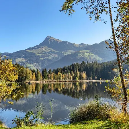 Modern In On Ski-slope *